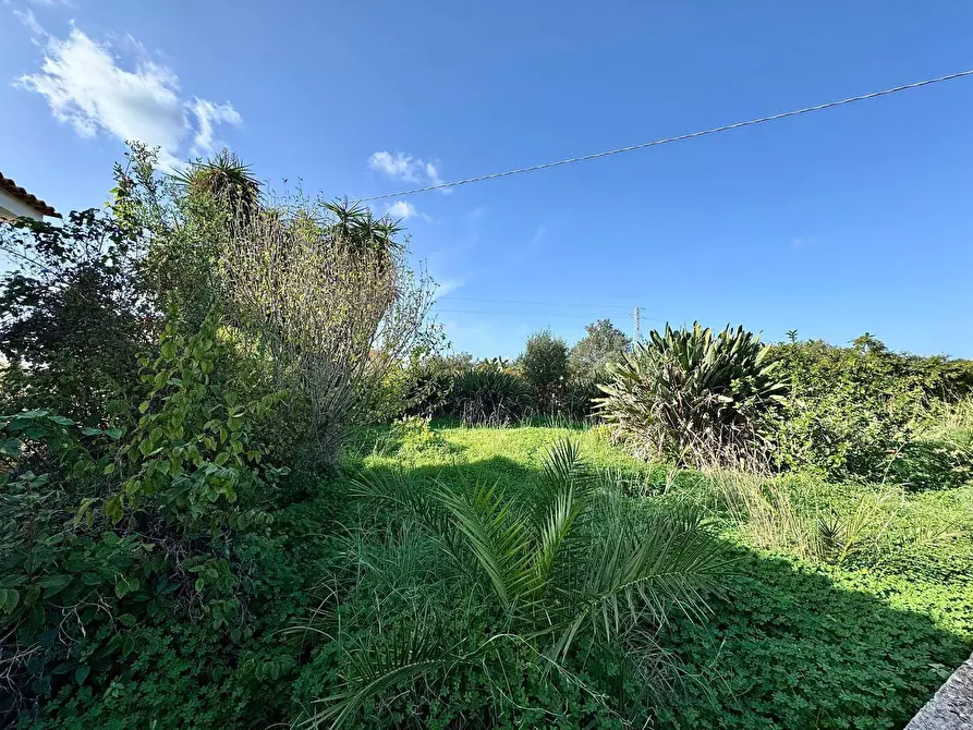 Immagine 19 di Villa in vendita  in Trappeto snc a Capaci