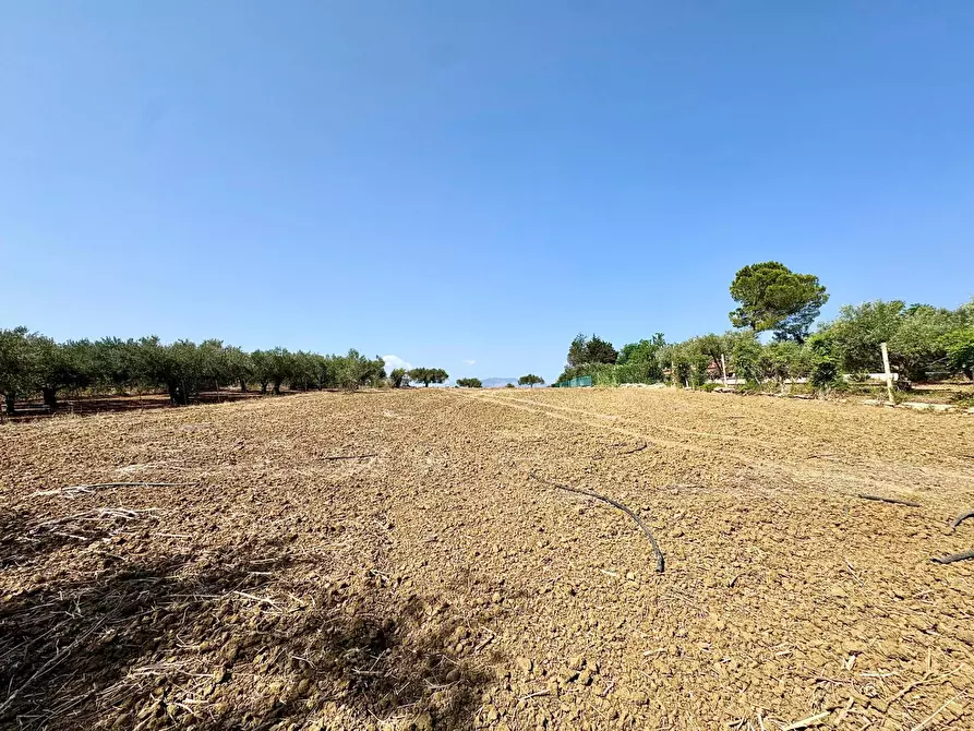 Immagine 3 di Terreno agricolo in vendita  in Contrada Bellacera a Partinico