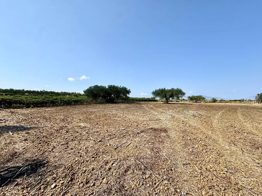 Immagine 5 di Terreno agricolo in vendita  in Contrada Bellacera a Partinico