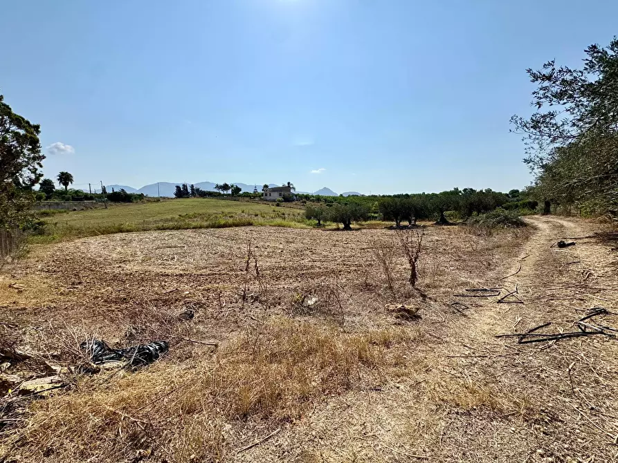 Immagine 6 di Terreno agricolo in vendita  in Contrada Bellacera a Partinico
