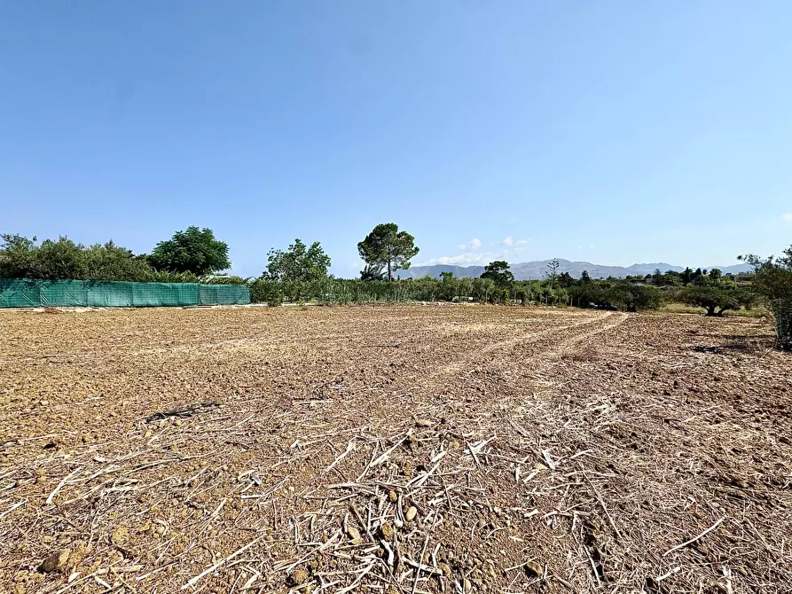 Immagine 7 di Terreno agricolo in vendita  in Contrada Bellacera a Partinico