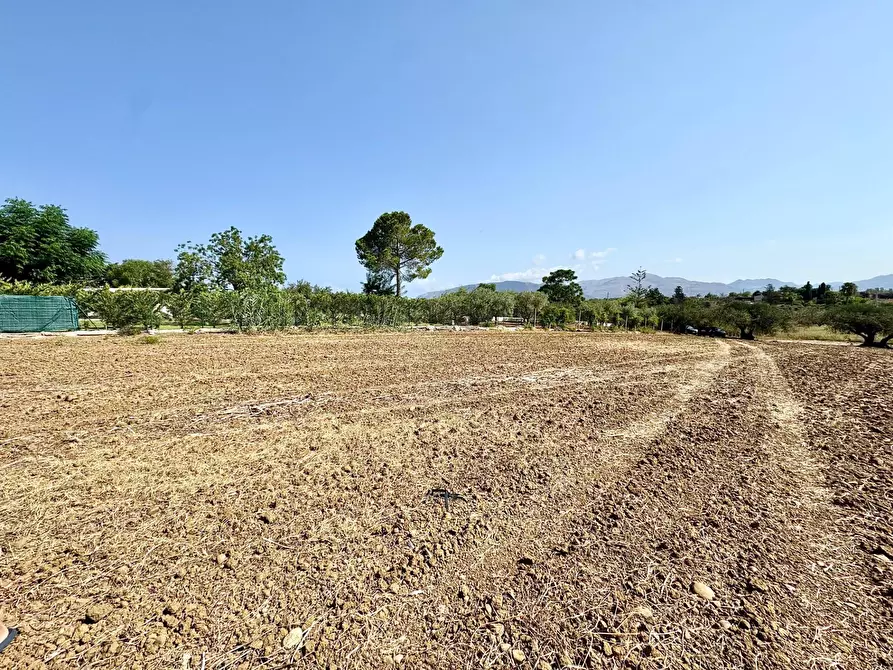 Immagine 10 di Terreno agricolo in vendita  in Contrada Bellacera a Partinico