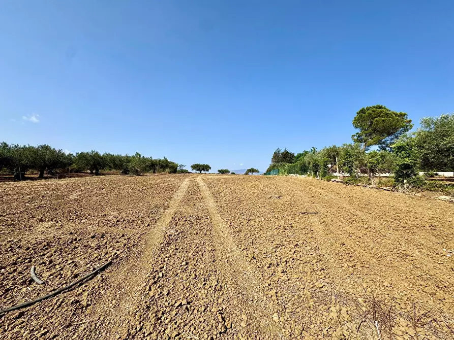 Immagine 1 di Terreno agricolo in vendita  in Contrada Bellacera a Partinico