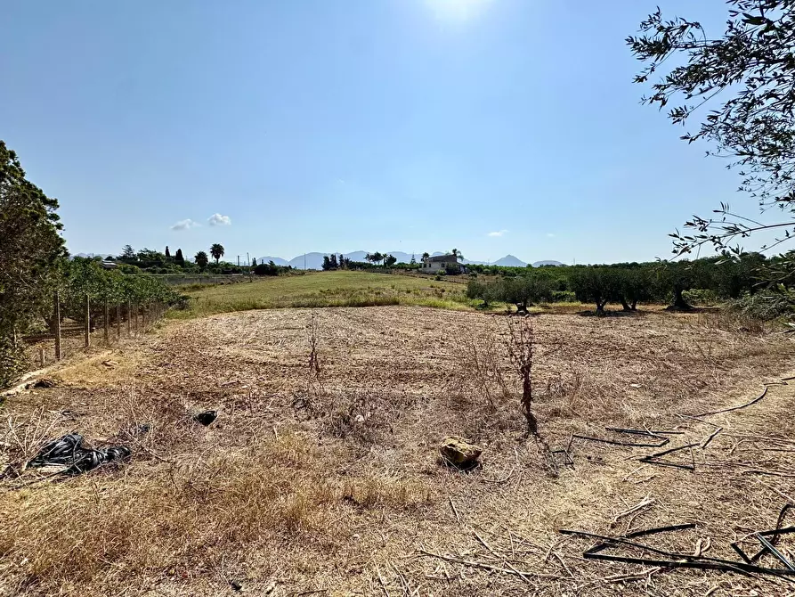 Immagine 14 di Terreno agricolo in vendita  in Contrada Bellacera a Partinico
