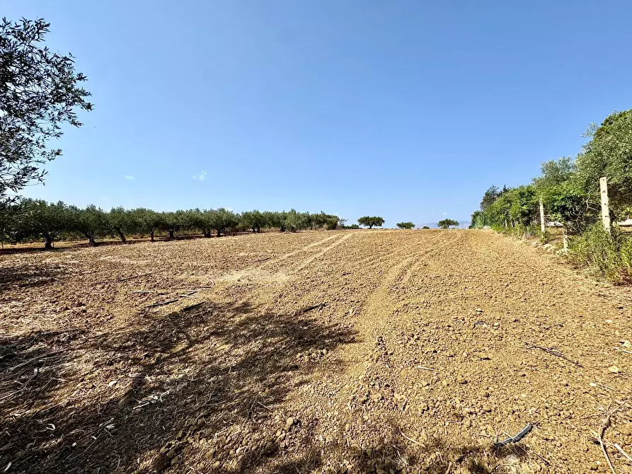 Immagine 15 di Terreno agricolo in vendita  in Contrada Bellacera a Partinico