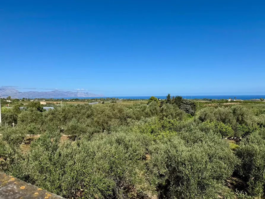 Immagine 16 di Villa in vendita  in Contrada Bosco Falconeria a Partinico