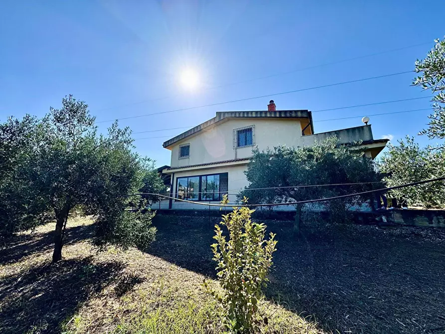 Immagine 6 di Villa in vendita  in Contrada Bosco Falconeria a Partinico