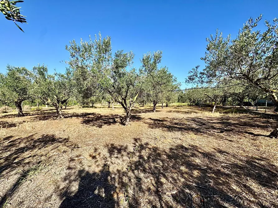 Immagine 18 di Villa in vendita  in Contrada Bosco Falconeria a Partinico