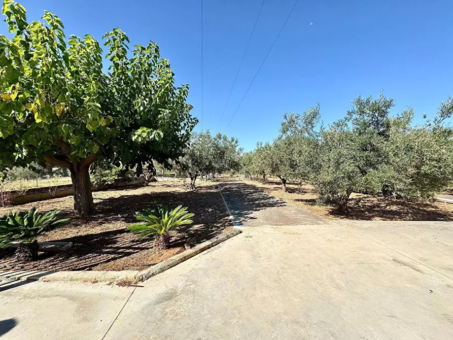 Immagine 19 di Villa in vendita  in Contrada Bosco Falconeria a Partinico