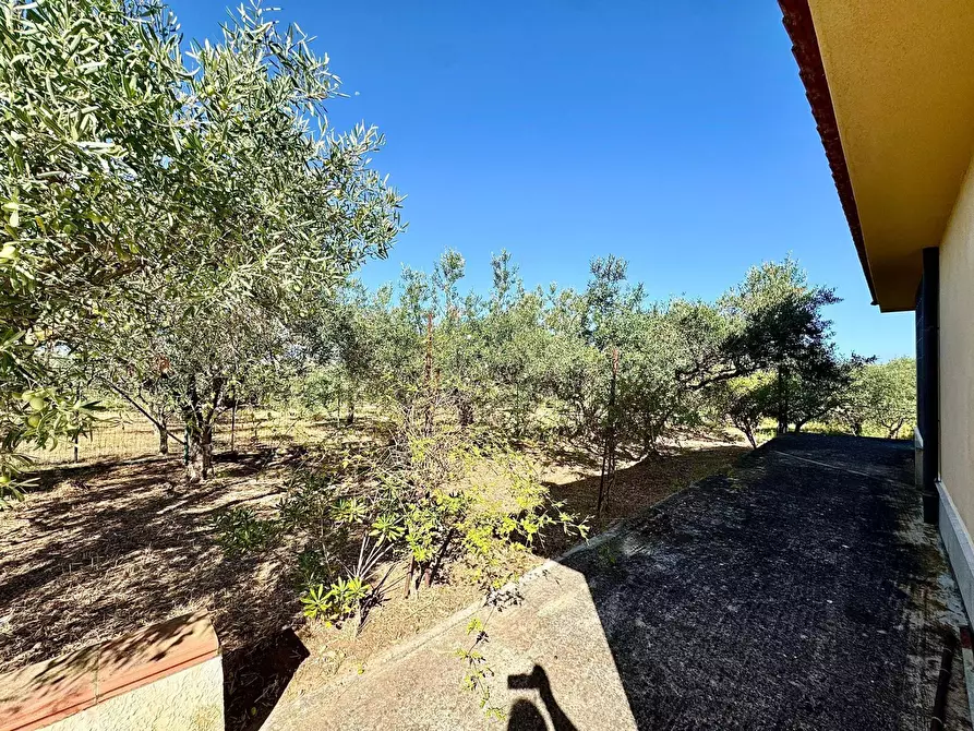 Immagine 21 di Villa in vendita  in Contrada Bosco Falconeria a Partinico