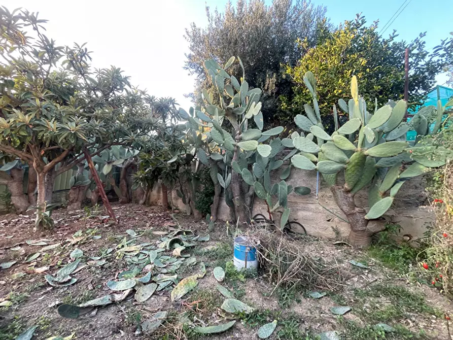 Immagine 40 di Casa semindipendente in vendita  in VIA ESTERNA FONTANA DEL LUPO 8/A a Monreale