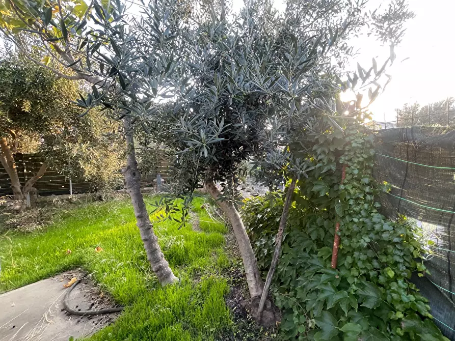 Immagine 50 di Casa semindipendente in vendita  in VIA ESTERNA FONTANA DEL LUPO 8/A a Monreale