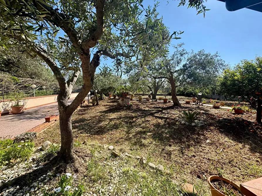 Immagine 37 di Villa in vendita  in Via Calaporro 18 a Terrasini