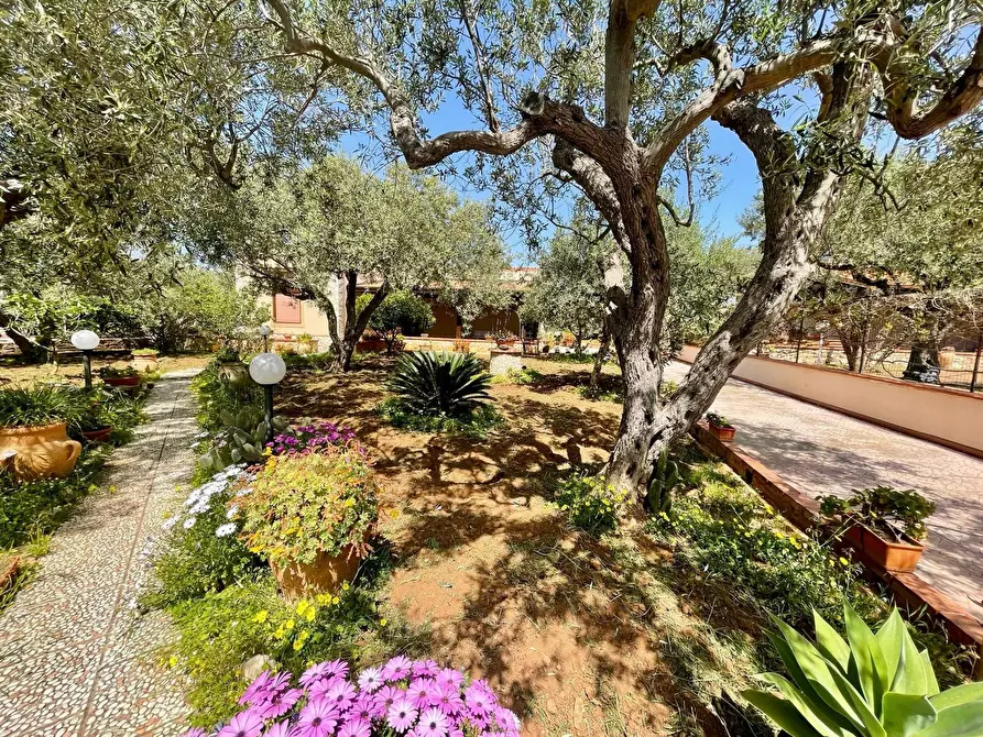 Immagine 38 di Villa in vendita  in Via Calaporro 18 a Terrasini