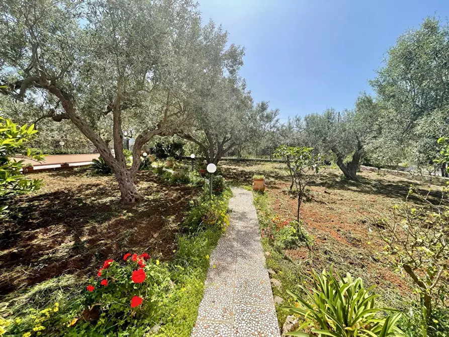 Immagine 39 di Villa in vendita  in Via Calaporro 18 a Terrasini