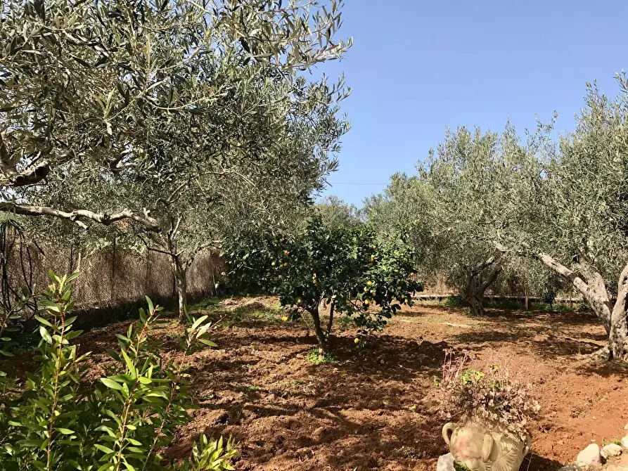 Immagine 40 di Villa in vendita  in Via Calaporro 18 a Terrasini