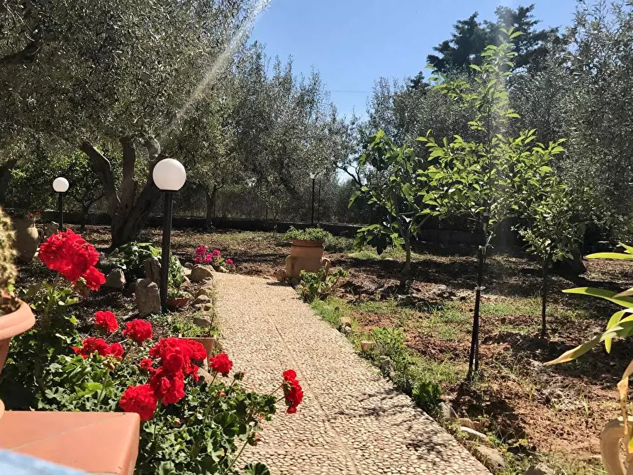 Immagine 36 di Villa in vendita  in Via Calaporro 18 a Terrasini