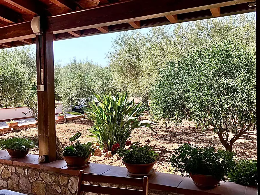 Immagine 43 di Villa in vendita  in Via Calaporro 18 a Terrasini