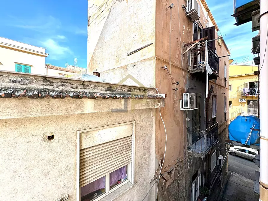 Immagine 12 di Appartamento in affitto  a Palermo