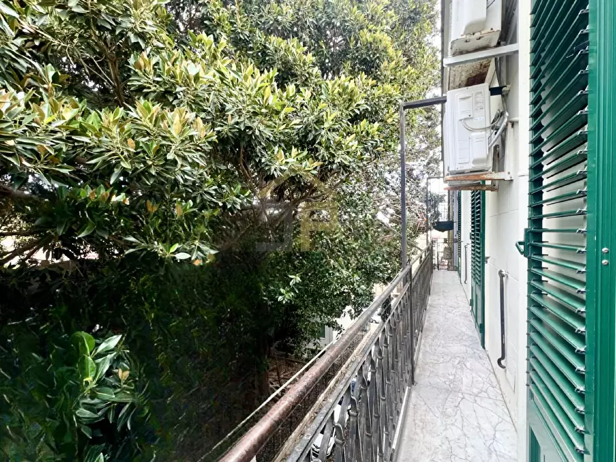 Immagine 31 di Appartamento in vendita  in Piazza del Noviziato 5 a Palermo