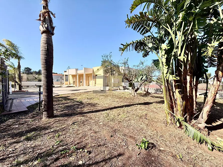 Immagine 8 di Villa in vendita  in Contrada Calarossa a Terrasini