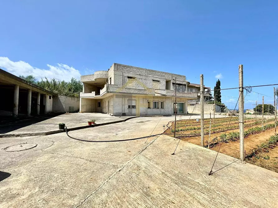 Immagine 5 di Villa in vendita  in Contrada Concivivi a Balestrate