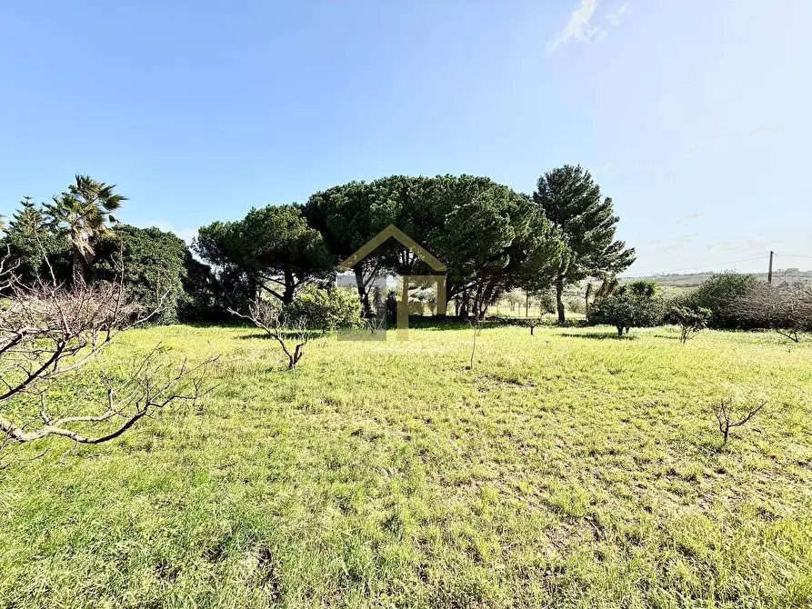 Immagine 39 di Villa in vendita  in Contrada Passarello a Partinico