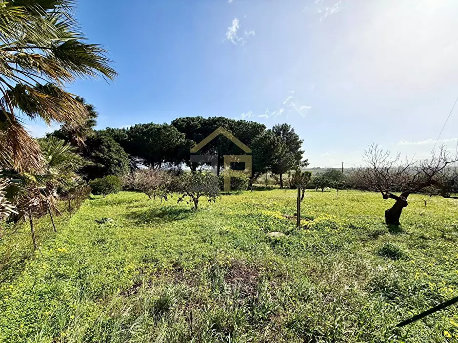 Immagine 40 di Villa in vendita  in Contrada Passarello a Partinico