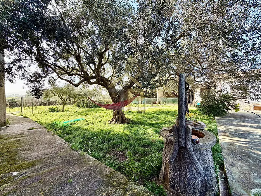 Immagine 42 di Villa in vendita  in Contrada Passarello a Partinico