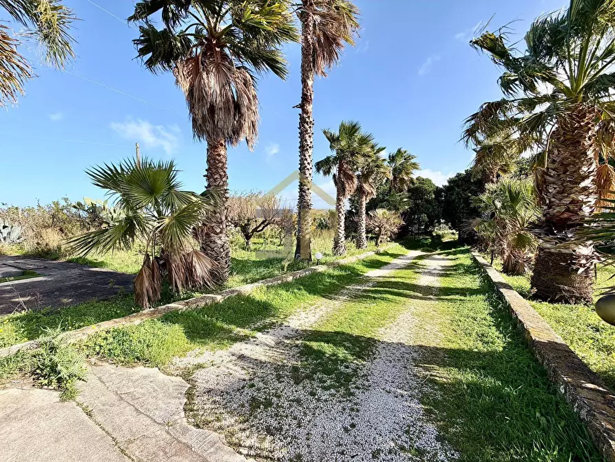Immagine 3 di Villa in vendita  in Contrada Passarello a Partinico