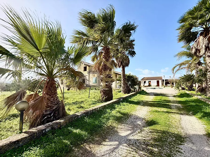 Immagine 4 di Villa in vendita  in Contrada Passarello a Partinico