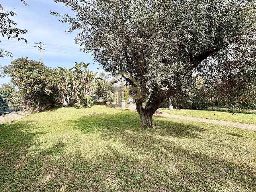 Immagine 17 di Villa in vendita  in Contrada San Giuseppe a Partinico