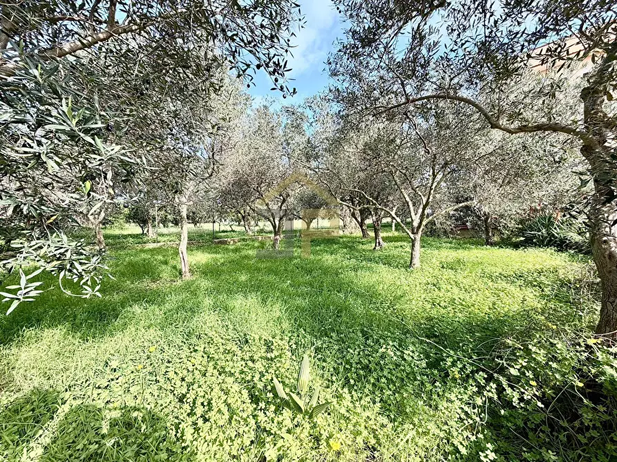 Immagine 35 di Casa semindipendente in vendita  in Contrada Piano Inferno a Capaci