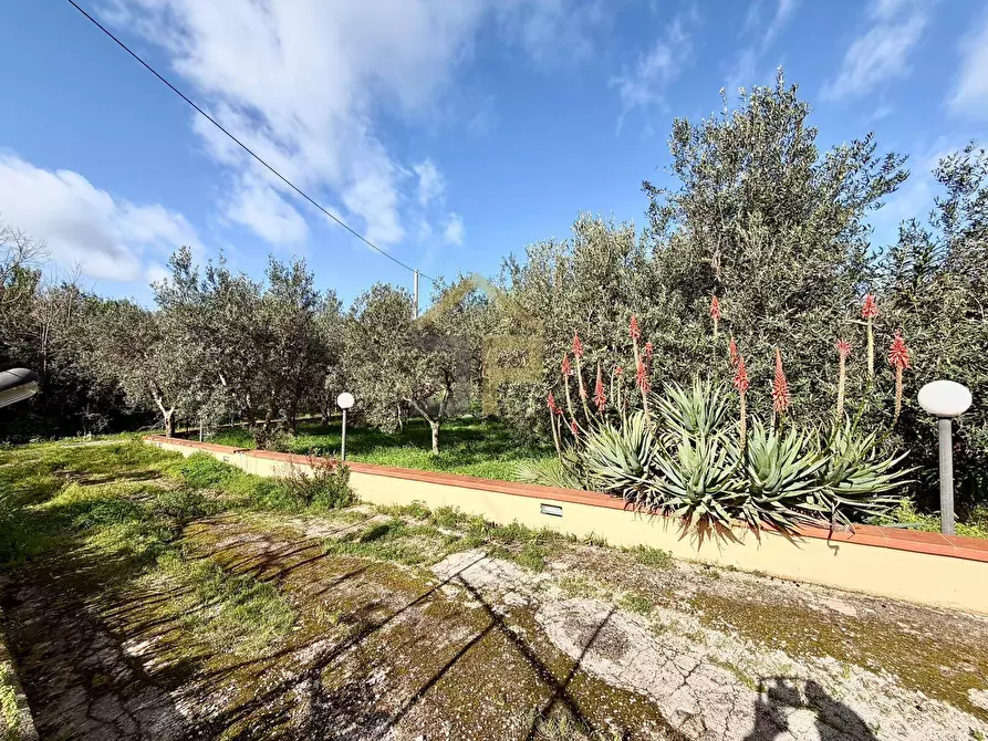 Immagine 33 di Casa semindipendente in vendita  in Contrada Piano Inferno a Capaci