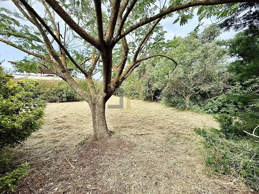 Immagine 38 di Villa in vendita  in Contrada Cicala a Partinico