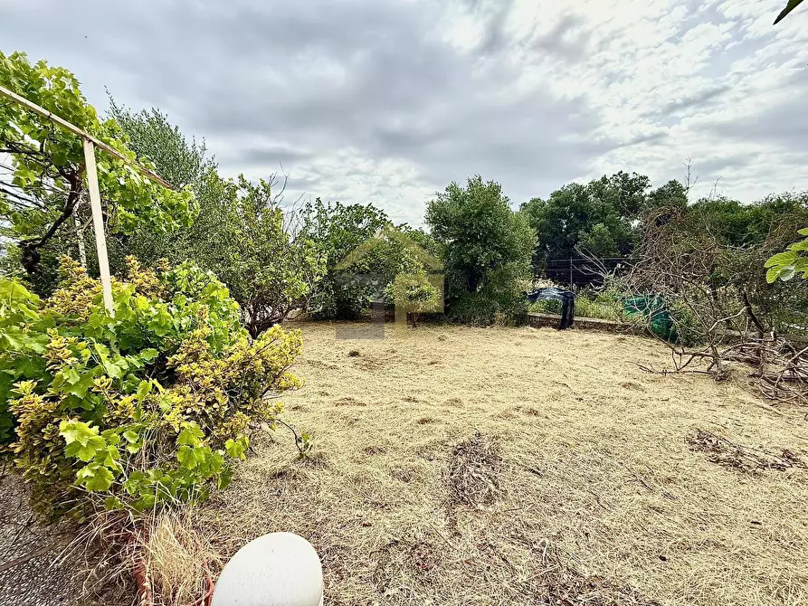 Immagine 31 di Villa in vendita  in Contrada Cicala a Partinico