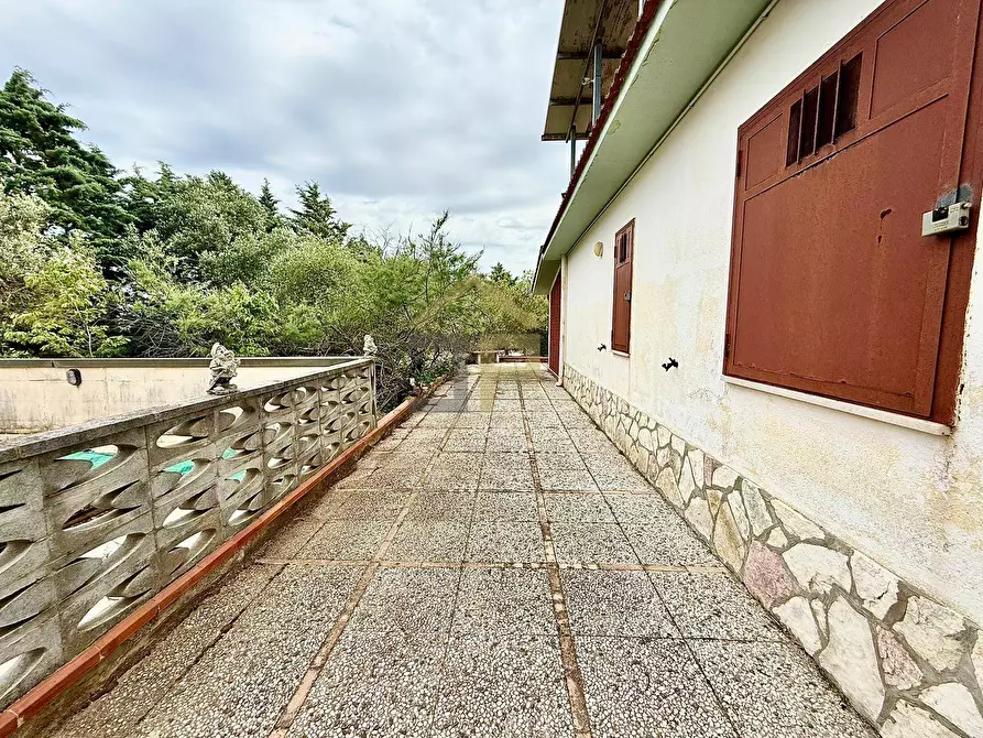 Immagine 23 di Villa in vendita  in Contrada Cicala a Partinico