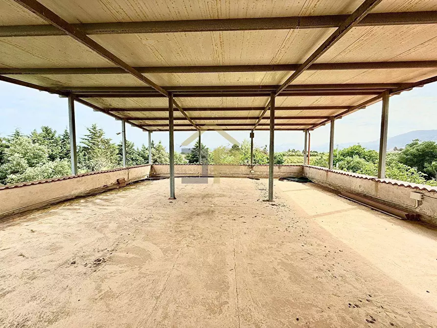 Immagine 33 di Villa in vendita  in Contrada Cicala a Partinico