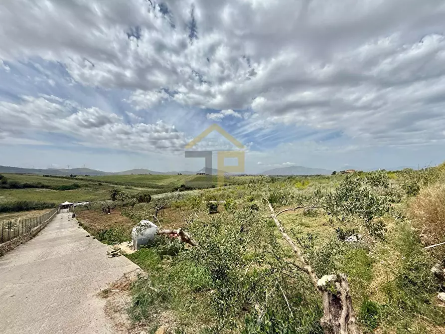 Immagine 6 di Terreno agricolo in vendita  in Contrada Valguarnera a Partinico