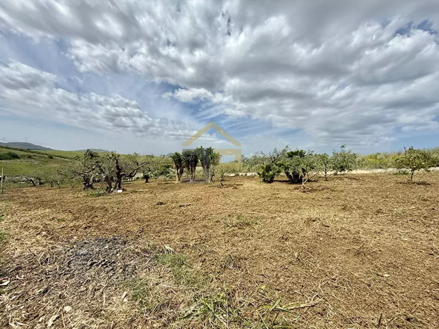 Immagine 10 di Terreno agricolo in vendita  in Contrada Valguarnera a Partinico