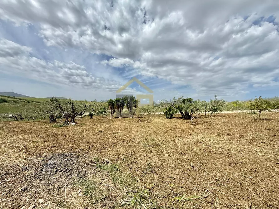 Immagine 11 di Terreno agricolo in vendita  in Contrada Valguarnera a Partinico