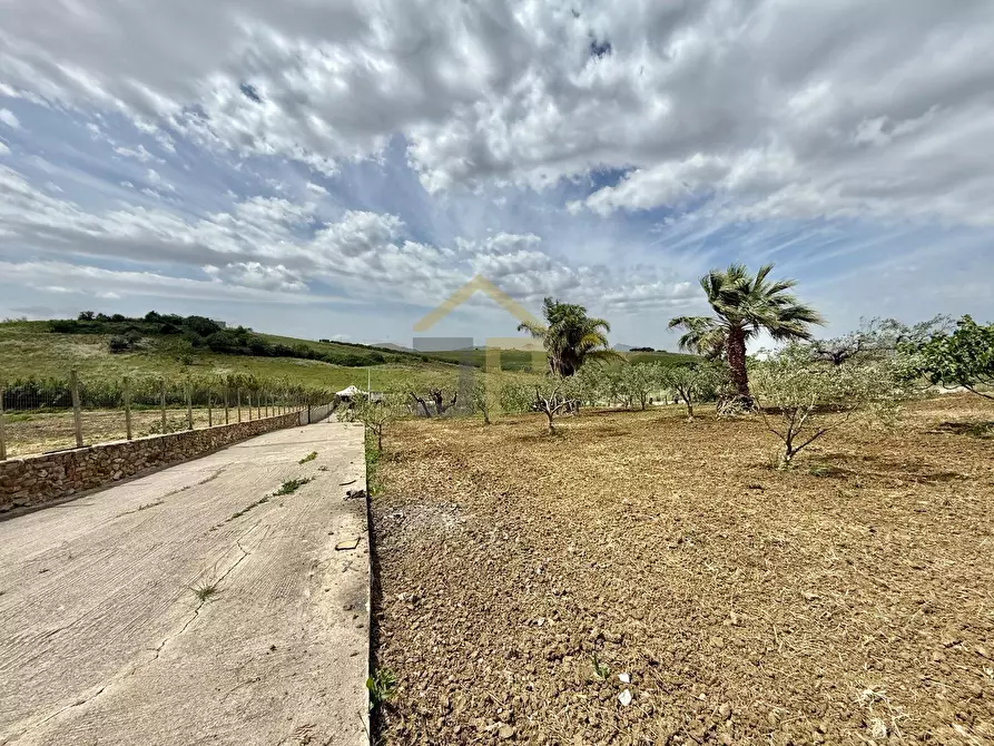 Immagine 13 di Terreno agricolo in vendita  in Contrada Valguarnera a Partinico