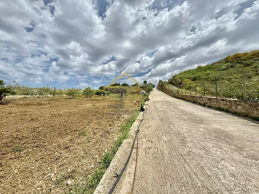 Immagine 15 di Terreno agricolo in vendita  in Contrada Valguarnera a Partinico