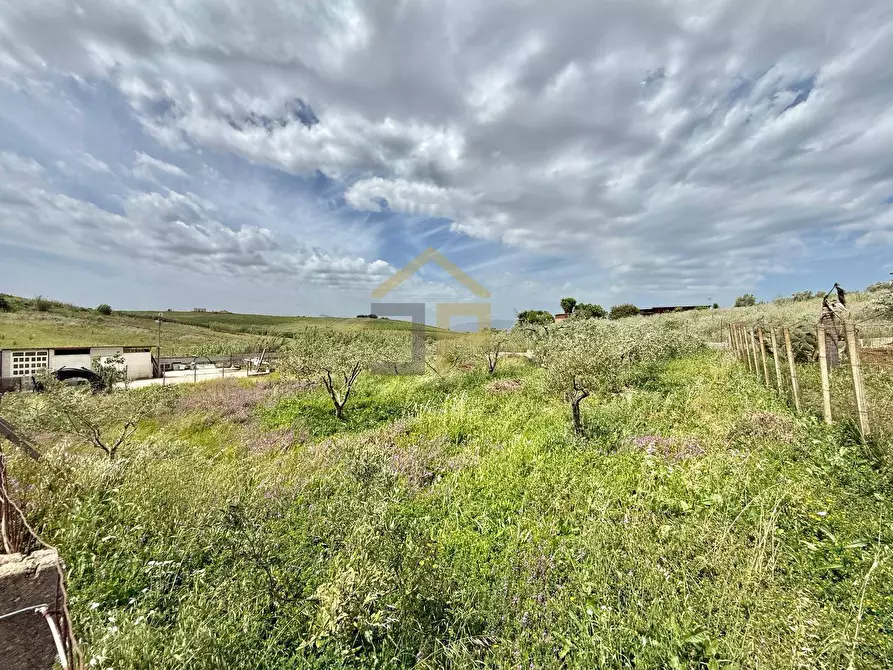 Immagine 19 di Terreno agricolo in vendita  in Contrada Valguarnera a Partinico