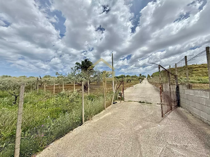 Immagine 22 di Terreno agricolo in vendita  in Contrada Valguarnera a Partinico