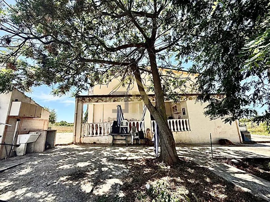 Immagine 2 di Villa in vendita  in Contrada Bosco Falconeria a Partinico