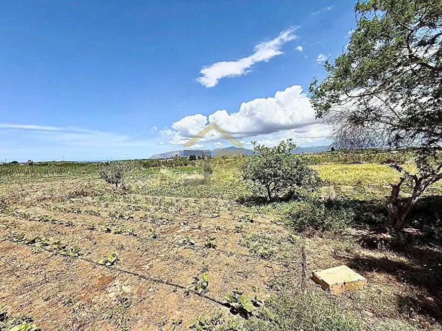 Immagine 20 di Villa in vendita  in Contrada Bosco Falconeria a Partinico