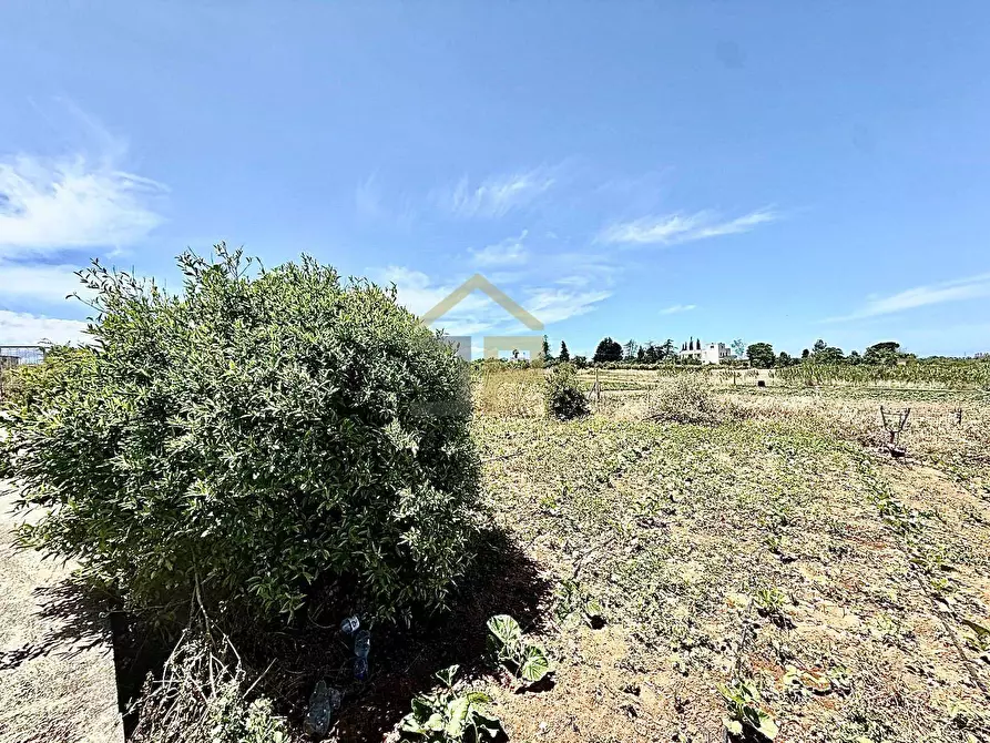 Immagine 21 di Villa in vendita  in Contrada Bosco Falconeria a Partinico