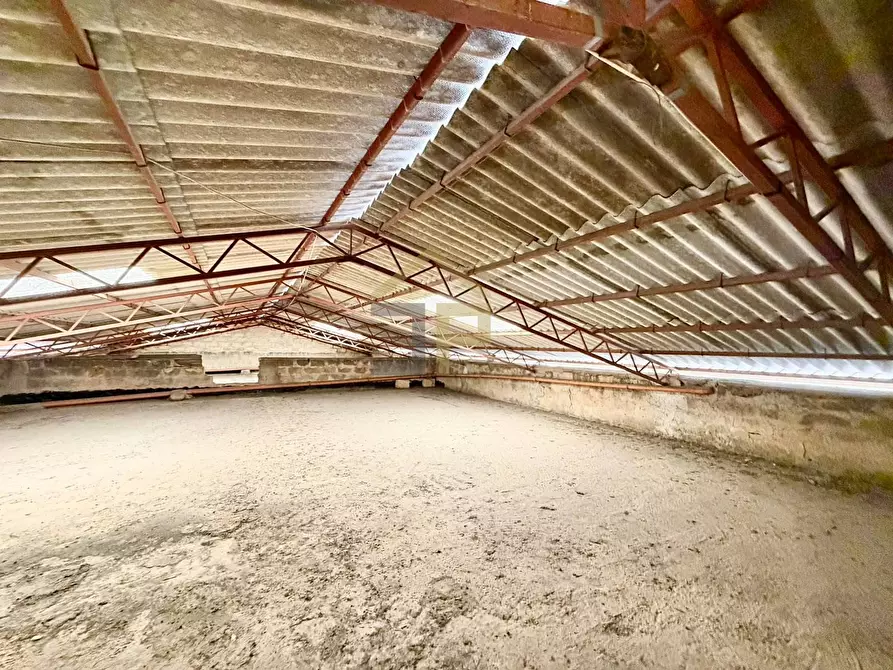 Immagine 13 di Appartamento in vendita  in Via Benvenuto Cellini 31 a Partinico