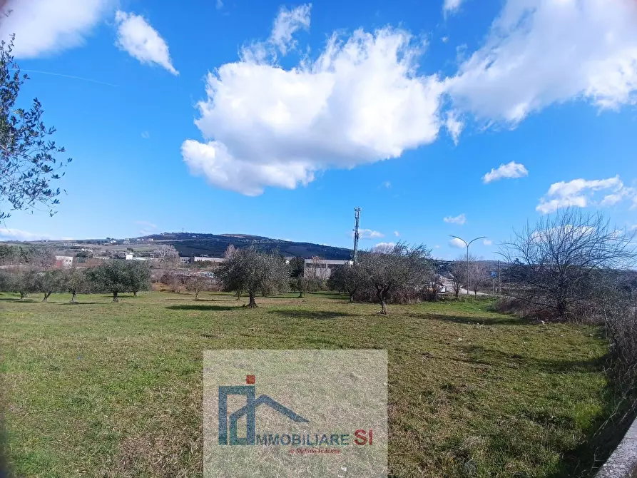 Immagine 3 di Locale commerciale in vendita  in Contrada Olivola a Benevento